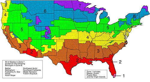 Insulation R-value in South Carolina SC